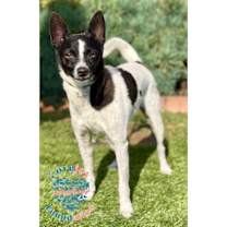 Thumbnail photo of Jack Black #1