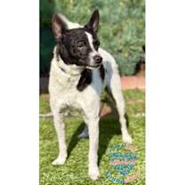 Thumbnail photo of Jack Black #2