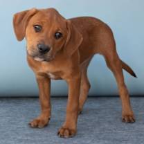 Thumbnail photo of ELENOR #1