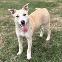 Thumbnail photo of Reece #2