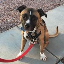 Thumbnail photo of Doozer #4