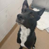 Thumbnail photo of Elf #4