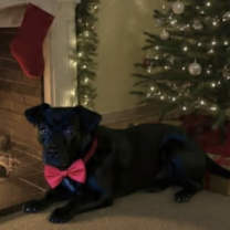 Thumbnail photo of Zara #1