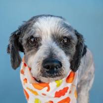 Thumbnail photo of JUSTINA #1