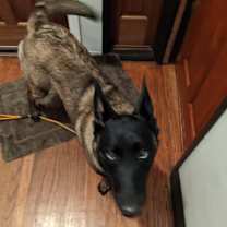 Thumbnail photo of Storm #4