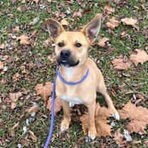 Thumbnail photo of Ferguson #1