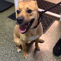 Thumbnail photo of Ferguson #4