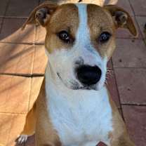 Thumbnail photo of Max 2 #1