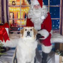 Thumbnail photo of Bailey #1