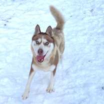 Thumbnail photo of Holly #3