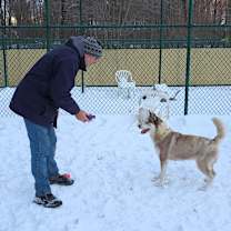 Thumbnail photo of Holly #4