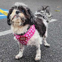 Thumbnail photo of Abbie #2