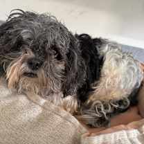 Thumbnail photo of Abbie #4