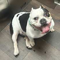 Thumbnail photo of Sage #3