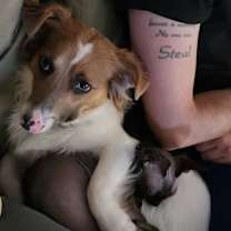 Thumbnail photo of Tofu #1