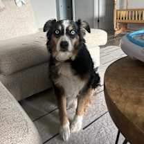 Thumbnail photo of Oliver #1