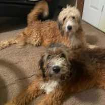 Thumbnail photo of Kenzie #2