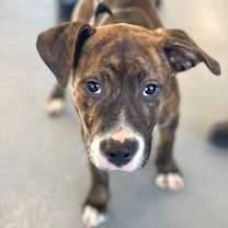 Thumbnail photo of Timon Hernando - LOCAL #4