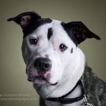 Thumbnail photo of Cairo #1