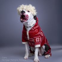 Thumbnail photo of Cairo #2