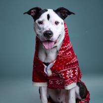 Thumbnail photo of Cairo #3