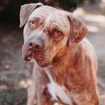 Thumbnail photo of 89220a Mr. Mix #2