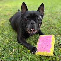 Thumbnail photo of Kekoa #1