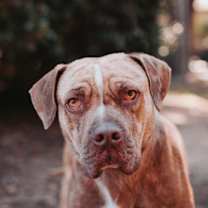 Thumbnail photo of 89220a Mr. Mix #3