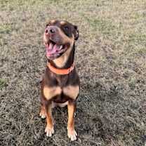 Thumbnail photo of Jingle #1