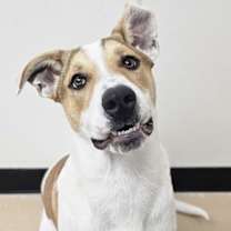 Thumbnail photo of Alex #2