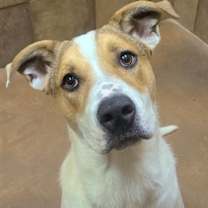 Thumbnail photo of Alex #3