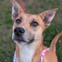 Thumbnail photo of Kaylee Ann #1