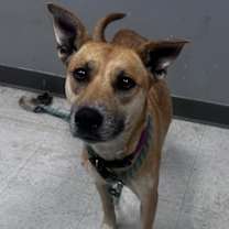 Thumbnail photo of Kaylee Ann #2