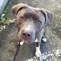 Thumbnail photo of Cooper #3