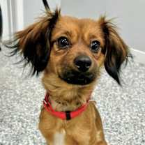 Thumbnail photo of Jolly #3