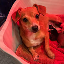 Thumbnail photo of Gabrielle #2