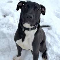 Thumbnail photo of Gio #1