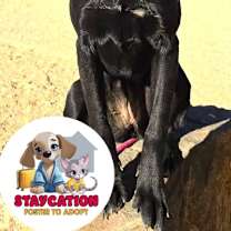 Thumbnail photo of Holly #1