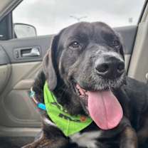 Thumbnail photo of Froggy #2