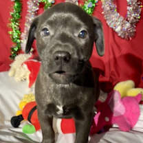 Thumbnail photo of Zip #1