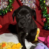 Thumbnail photo of Zip #2