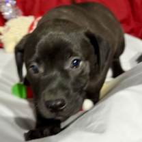 Thumbnail photo of Zip #3