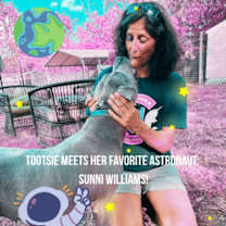 Thumbnail photo of Tootsie Roll Your Happy-Hippo #3