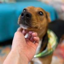 Thumbnail photo of Leo Daniel #4