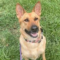 Thumbnail photo of Molly Mae So Majestic #2