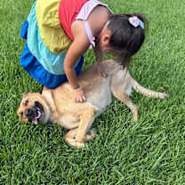 Thumbnail photo of Molly Mae So Majestic #3