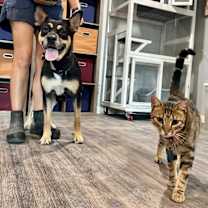 Thumbnail photo of Clementine Cleveland #3