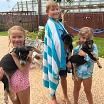 Thumbnail photo of Strawberry Drizzle  Clementine #2