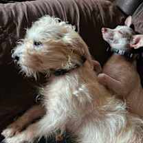 Thumbnail photo of Ollie Cooper #2