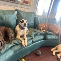 Thumbnail photo of Fire Marshal Bill will set your heart on fire #2